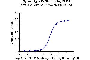ELISA image for Tumor Necrosis Factor Receptor Superfamily, Member 1B (TNFRSF1B) (AA 23-257) protein (His tag) (ABIN7275756)