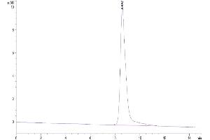 The purity of Human IL-3 is greater than 95 % as determined by SEC-HPLC. (IL-3 Protein (AA 20-152) (His-Avi Tag))