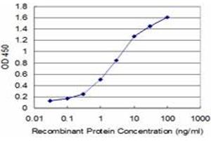 Detection limit for recombinant GST tagged HEY1 is approximately 0. (HEY1 Antikörper  (AA 121-220))