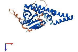 NAT8L Protein (AA 1-302) (His tag)