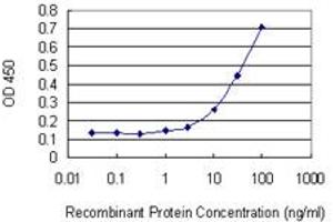 Detection limit for recombinant GST tagged TRAF4 is 3 ng/ml as a capture antibody. (TRAF4 Antikörper  (AA 371-470))