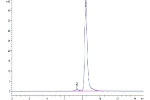 Size-exclusion chromatography-High Pressure Liquid Chromatography (SEC-HPLC) image for Glycoprotein VI (Platelet) (GP6) (AA 21-251) protein (His tag) (ABIN7274759)
