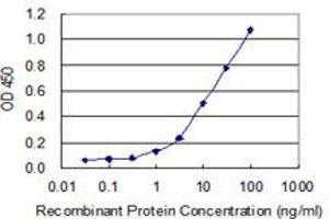 Detection limit for recombinant GST tagged KLHDC4 is 0. (KLHDC4 Antikörper  (AA 1-463))