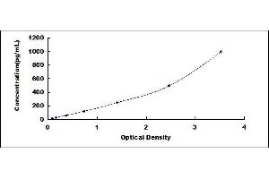 ELISA image for Epidermal Growth Factor (EGF) ELISA Kit (ABIN6730936)