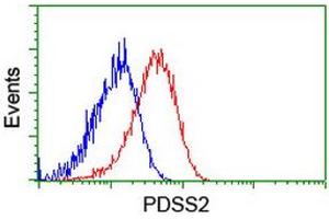 Flow cytometric Analysis of Hela cells, using anti-PDSS2 antibody (ABIN2455300), (Red), compared to a nonspecific negative control antibody, (Blue). (PDSS2 Antikörper)