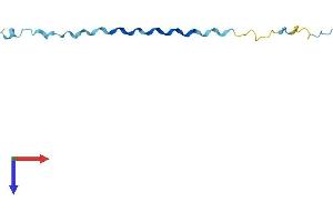 SPRR2A Protein (AA 1-72) (Fc Tag)