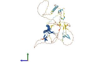 AlphaFold protein structure predicition of Mouse Recombinant Uri1 Protein, UniprotID Q3TLD5