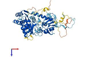 DPH2 Protein (AA 1-489) (His tag)