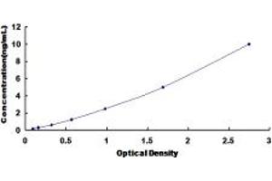 Typical standard curve (PCYOX1 ELISA Kit)