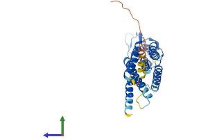 Protein Structure (PS) image for Phosphatidic Acid Phosphatase Type 2C (PPAP2C) (AA 1-288) protein (His tag) (ABIN7550740)
