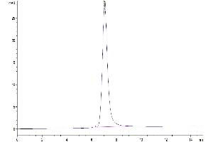 The purity of Human LIGHT Trimer is greater than 95 % as determined by SEC-HPLC. (TNFSF14 Protein (Trimer) (His-DYKDDDDK Tag))