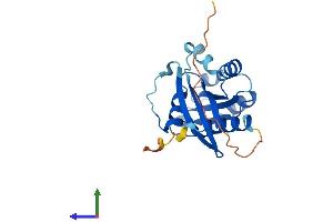 Protein Structure (PS) image for RAB43, Member RAS Oncogene Family (RAB43) (AA 1-210) protein (His tag) (ABIN7559317)
