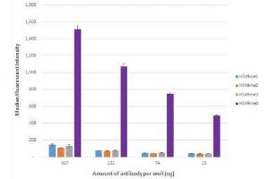 Histone H3K9me0 antibody (rAb) tested by Luminex bead-based specificity analysis.