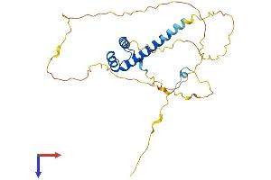 AlphaFold protein structure predicition of Human Recombinant HMX2 Protein, UniprotID A2RU54 (HMX2 Protein (AA 1-273) (His tag))
