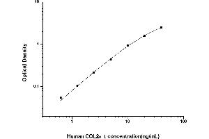 COL2A1 ELISA Kit