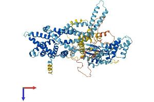SNX25 Protein (AA 1-840) (His tag)