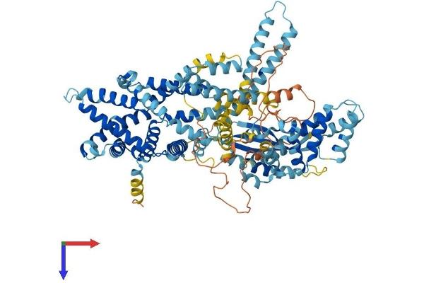 SNX25 Protein (AA 1-840) (His tag)