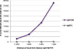 FLISA plate was coated with purified human IgG Fab and IgG Fc. (Ziege anti-Human IgG (Fd Region) Antikörper)