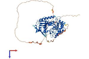 C6orf150 Protein (AA 1-522) (His tag)