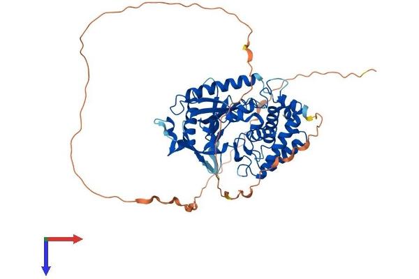 C6orf150 Protein (AA 1-522) (His tag)