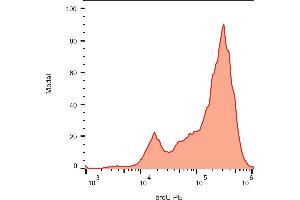 Flow cytometry analysis (intracellular staining) of BrdU incorporated into the K562 cells. (BrdU Antikörper  (PE))