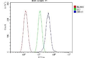 Flow Cytometry analysis of SiHa cells using anti-Epoxide hydrolase/EPHX1 antibody (ABIN7601696). (EPHX1 Antikörper  (AA 42-455))