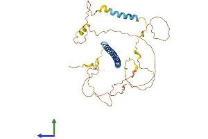 Protein Structure (PS) image for Jun B Proto-Oncogene (JUNB) (AA 1-344) protein (His tag) (ABIN7562776)