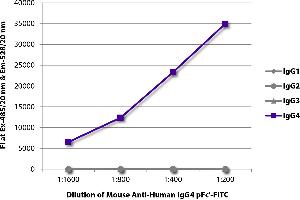 FLISA plate was coated with purified human IgG1, IgG2, IgG3, and IgG4. (Maus anti-Human IgG4 (pFc' Region) Antikörper (FITC))