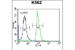 Flow Cytometry (FACS) image for anti-Sema Domain, Immunoglobulin Domain (Ig), Transmembrane Domain (TM) and Short Cytoplasmic Domain, (Semaphorin) 4C (SEMA4C) (AA 792-821), (C-Term) antibody (ABIN5538490)
