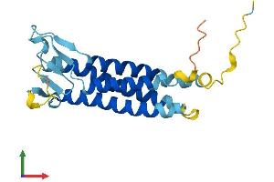 Protein Structure (PS) image for TP53 Apoptosis Effector (PERP) (AA 1-193) protein (His tag) (ABIN7550642)