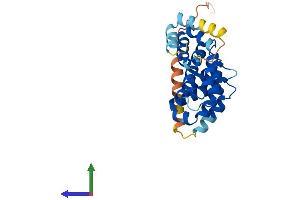 Protein Structure (PS) image for Maestro (MRO) (AA 1-248) protein (His tag) (ABIN7549544)