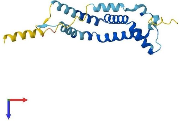 RABAC1 Protein (AA 1-185) (His tag)