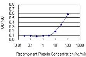 Detection limit for recombinant GST tagged TIMP3 is 3 ng/ml as a capture antibody. (TIMP3 Antikörper  (AA 112-211))