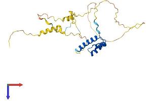 BARX1 Protein (AA 1-254) (His tag)