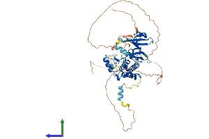 STK33 Protein (AA 1-514) (His tag)