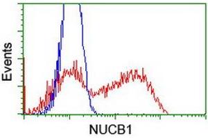 HEK293T cells transfected with either RC201786 overexpress plasmid (Red) or empty vector control plasmid (Blue) were immunostained by anti-NUCB1 antibody (ABIN2455248), and then analyzed by flow cytometry.