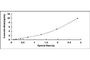 Typical standard curve (SF3B3 ELISA Kit)