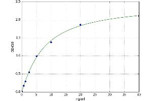Metallothionein 2 (MT2) ELISA Kit
