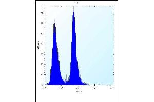 Antibody (N-term) (ABIN656739 and ABIN2845963) flow cytometric analysis of  cells (right histogram) compared to a negative control cell (left histogram).