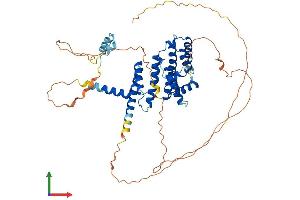 Protein Structure (PS) image for Telomeric Repeat Binding Factor 2 (TERF2) (AA 1-541) protein (His tag) (ABIN7562271)