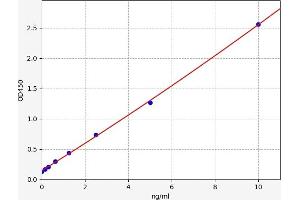 Typical standard curve (WNT3 ELISA Kit)