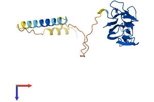 AlphaFold protein structure predicition of Mouse Recombinant Tnf Protein, UniprotID P06804 (TNF alpha Protein (AA 1-235) (His tag))