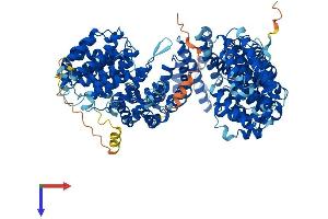 TBCD Protein (AA 1-1192) (His tag)