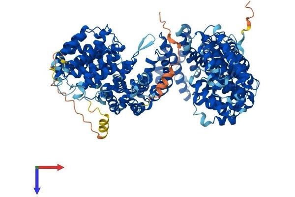 TBCD Protein (AA 1-1192) (His tag)