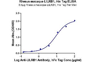 ELISA image for Leukocyte Immunoglobulin-Like Receptor, Subfamily B (With TM and ITIM Domains), Member 1 (LILRB1) (AA 17-456) protein (His tag) (ABIN7275156)