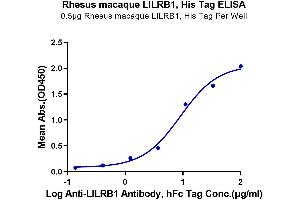 Immobilized Rhesus macaque LILRB1, His Tag at 5 μg/mL (100 μL/well) on the plate. (LILRB1 Protein (AA 17-456) (His tag))