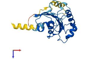 SAR1A Protein (AA 1-198) (His tag)