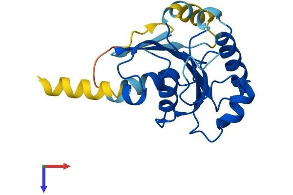 SAR1A Protein (AA 1-198) (His tag)