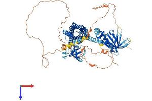 ARHGEF4 Protein (AA 1-690) (His tag)