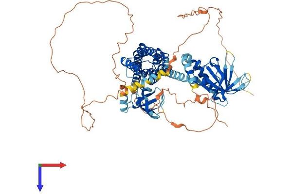ARHGEF4 Protein (AA 1-690) (His tag)